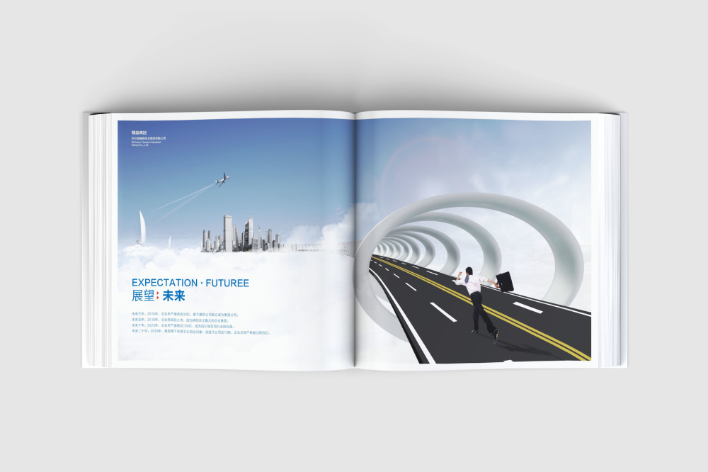 汇川区画册设计